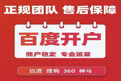 SEM托管公司案例分析：实战技巧全解析